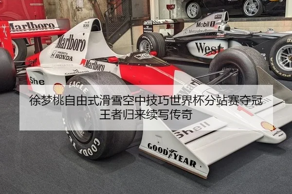 徐梦桃自由式滑雪空中技巧世界杯分站赛夺冠 王者归来续写传奇
