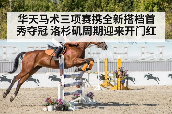 show jumping competition